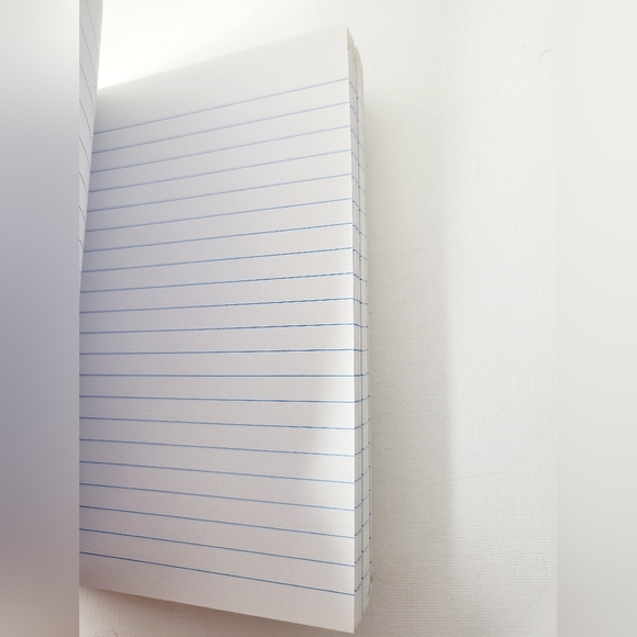 Makeup Notebook - Picture 3 of 7